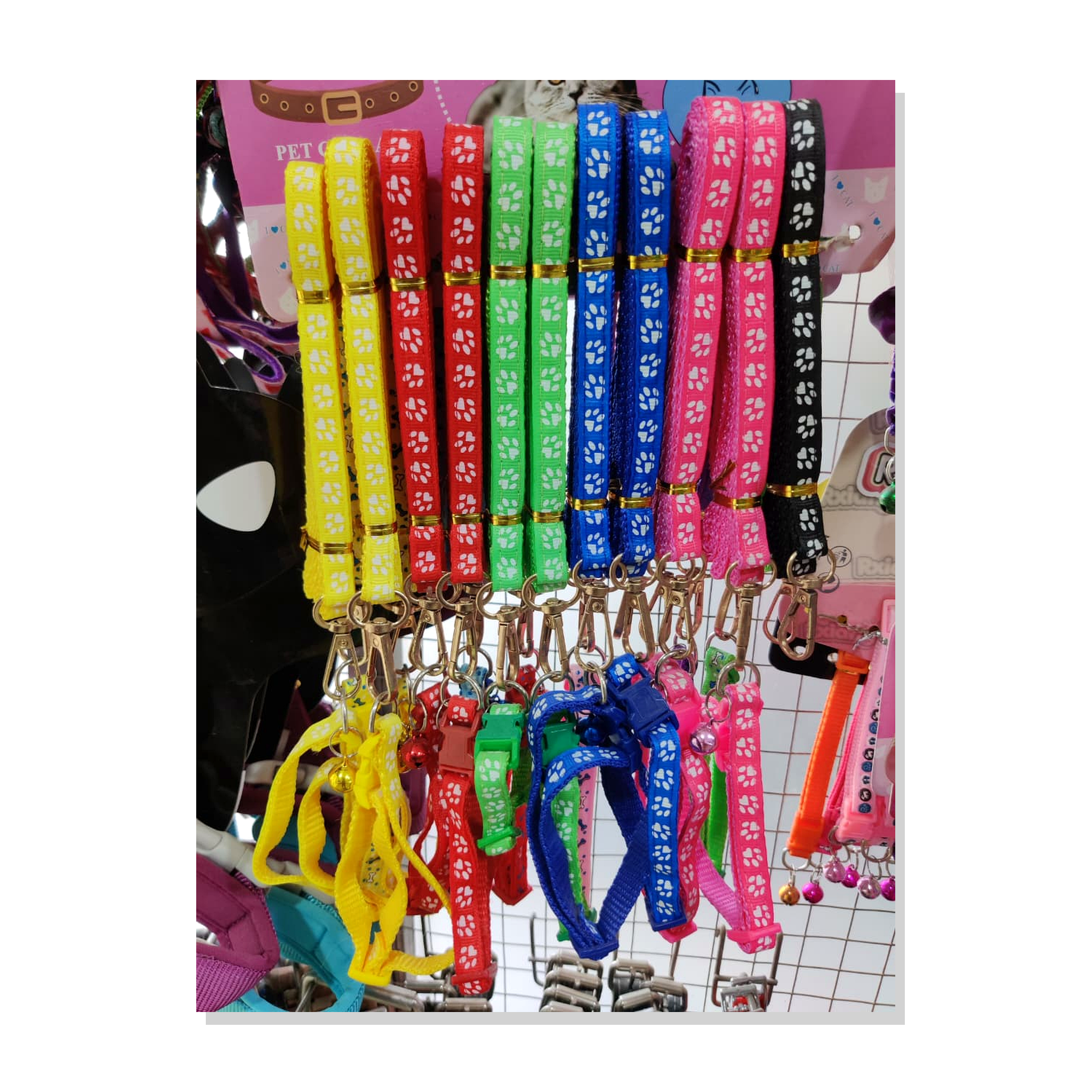 Paw Print Pet Leash